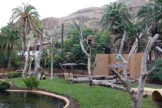 GC-Plalmitos Park 2019-162.JPG